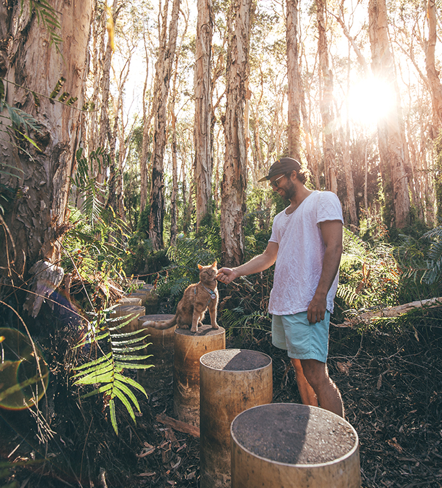 Marbles getting amongst the trees on one of their travel trips